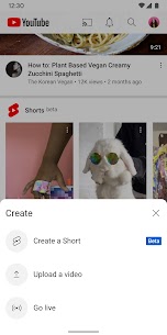 YouTube Premium Mod APK: Ad-Free, Unlimited 1