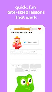 Duolingo Plus APK v5.108.3: Learn Languages Without Limits 3